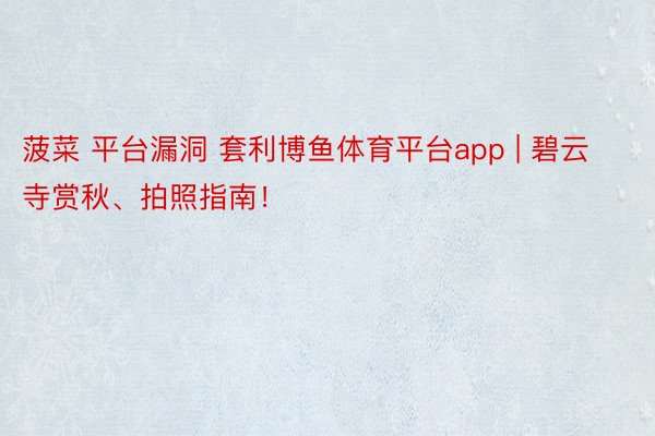 菠菜 平台漏洞 套利博鱼体育平台app | 碧云寺赏秋、拍照指南！