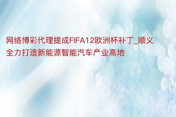 网络博彩代理提成FIFA12欧洲杯补丁_顺义全力打造新能源智能汽车产业高地